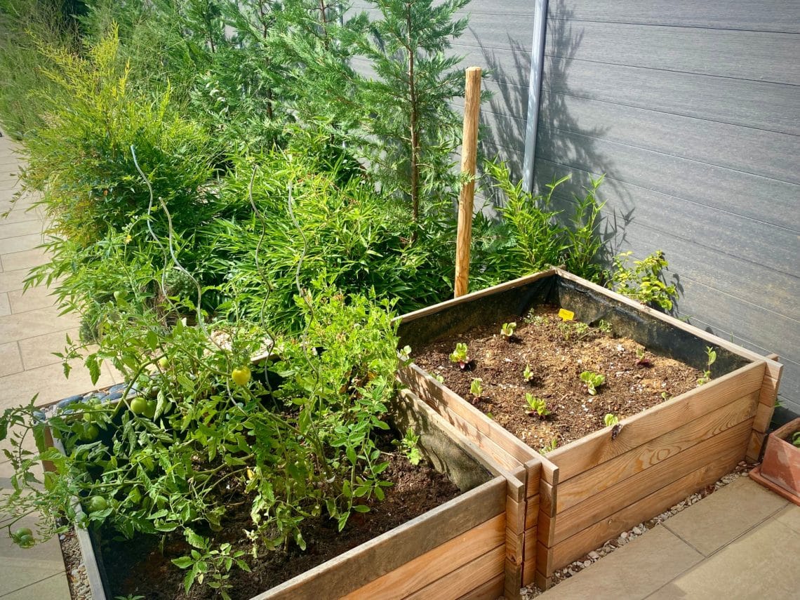 aménager serre potager