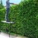 5 astuces pour optimiser l&rsquo;entretien des espaces difficiles d&rsquo;acc&egrave;s avec un &eacute;chafaudage de jardin