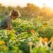 Terre vivante : conseils d'experts pour un jardin écologique et durable