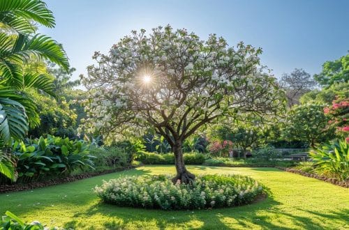 Planfor guide complet : choix, plantation et entretien pour votre jardin
