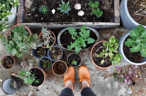 les-crocs-pour-faire-jardinage