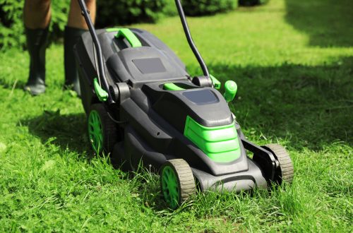 choix Tondeuse electrique jardin